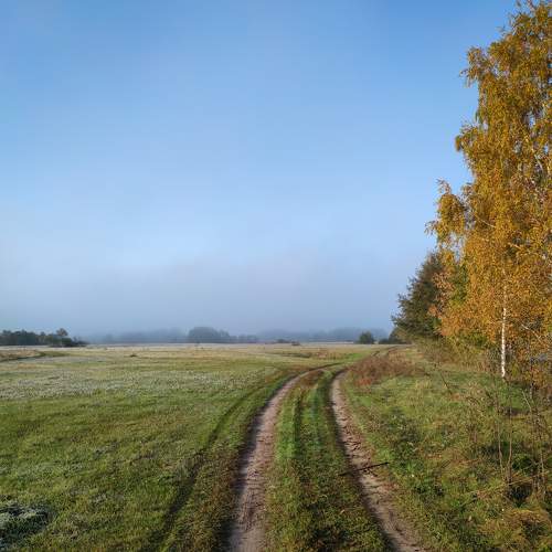 Photo #6583437