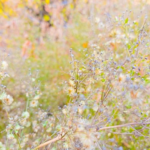 Photo #6583465