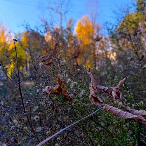 Photo #6583466