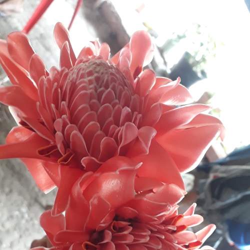 Photo #6583698