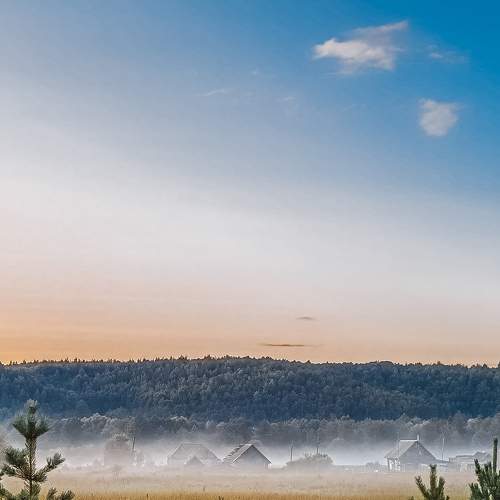 Photo #6583828