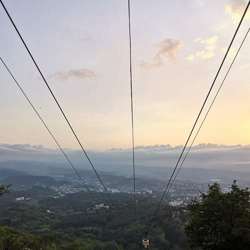 Photo #6584067