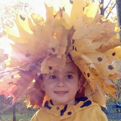 Photo #6584078