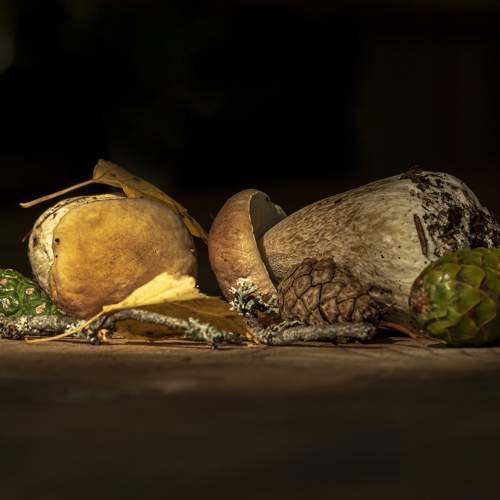 Photo #6584202