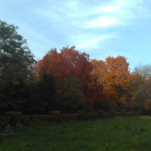 Photo #6584387