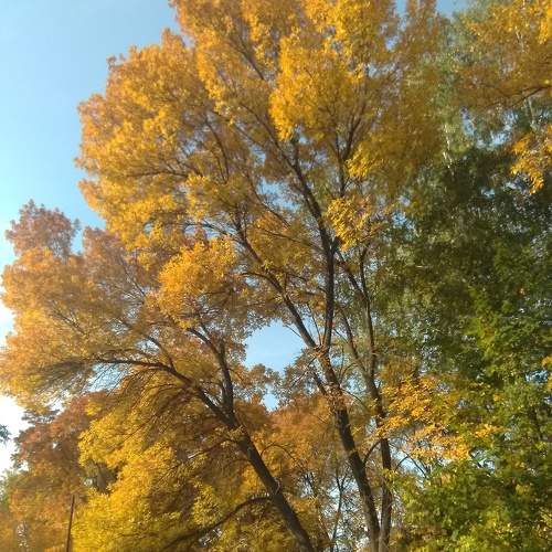 Photo #6584399