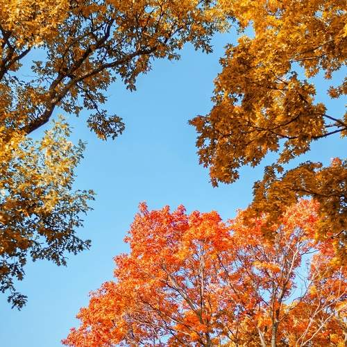 Photo #6584456