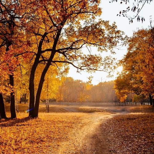 Photo #6584505