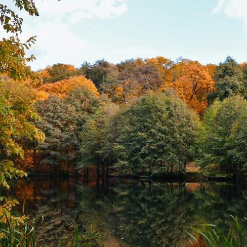 Photo #6584506