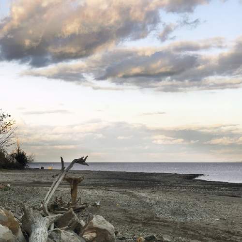 Photo #6584633