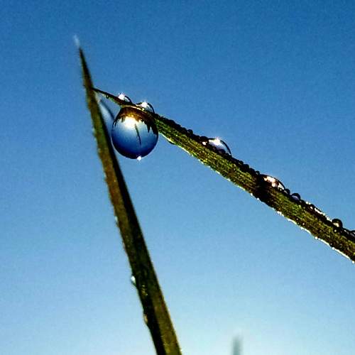 Photo #6584751
