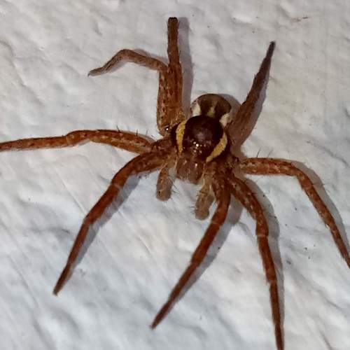 Photo #6584752