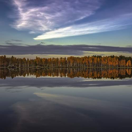 Photo #6584829