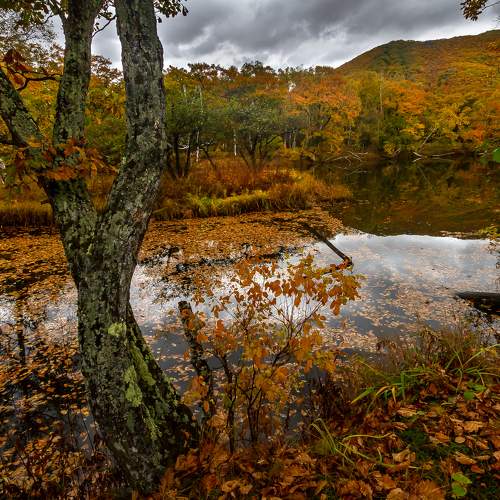 Photo #6585077