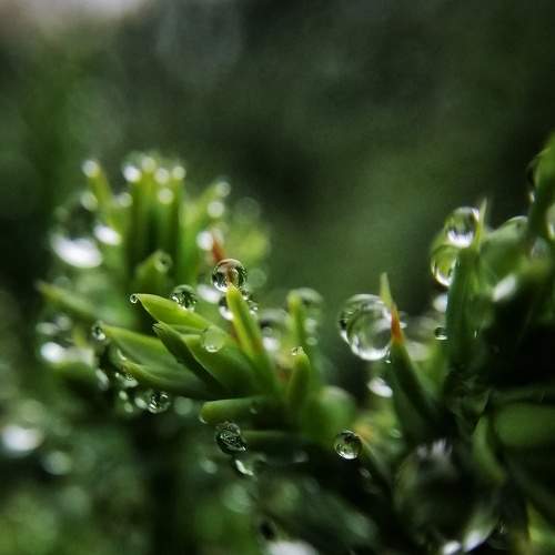 Photo #6585238
