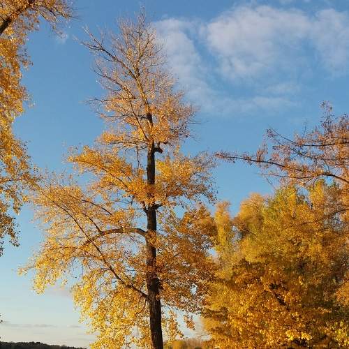 Photo #6585257