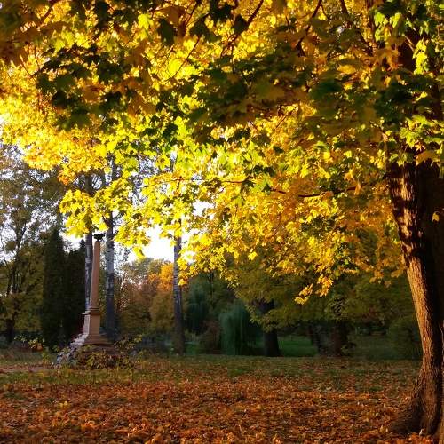 Photo #6585258