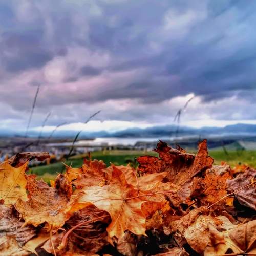 Autumn sky