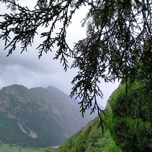 Photo #6585552