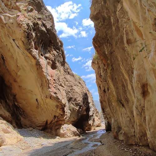Photo #6585554