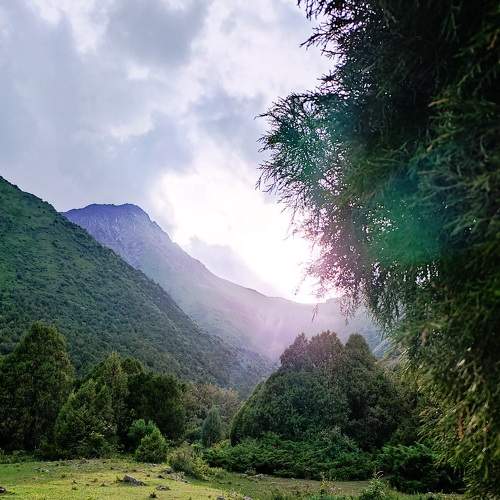 Photo #6585626