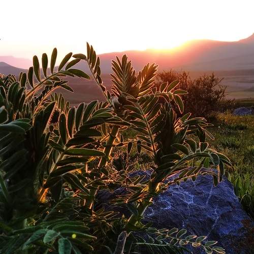Photo #6585628