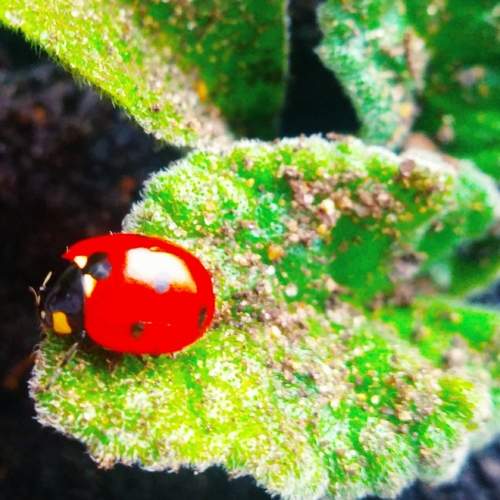 Photo #6585694