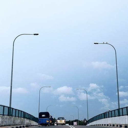 Photo #6585871