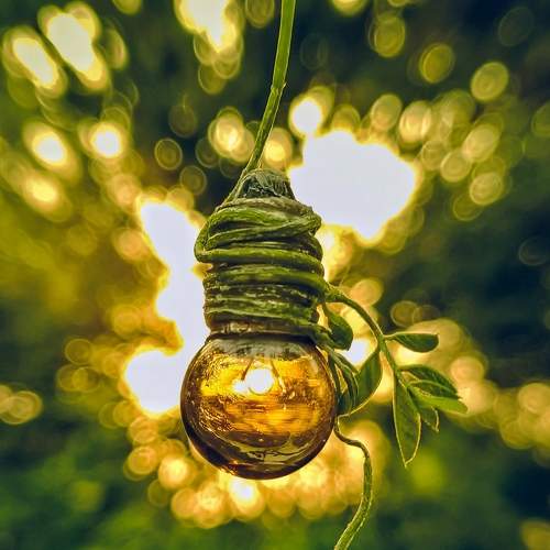 Nature photography