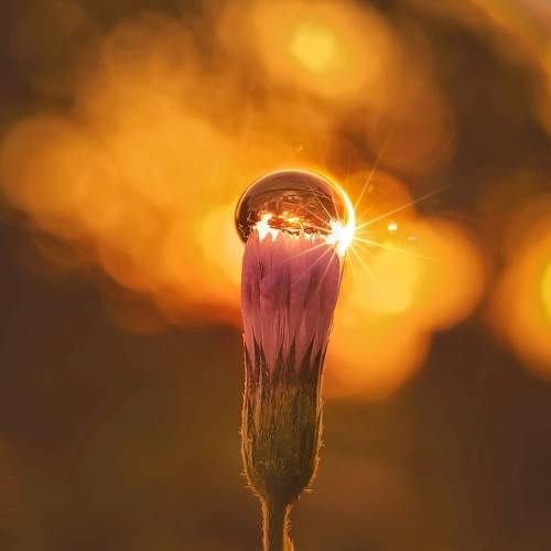 Photo #6585986
