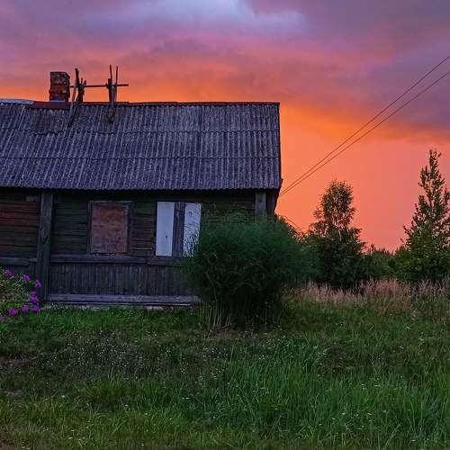 Photo #6586125