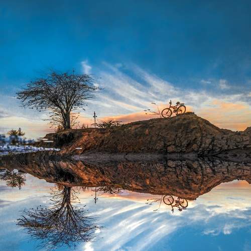 Photo #6586453