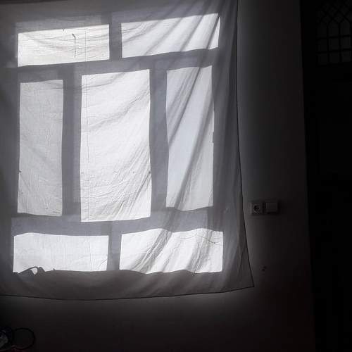 Photo #6586584