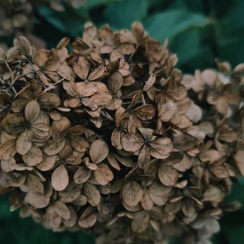 Photo #6587278