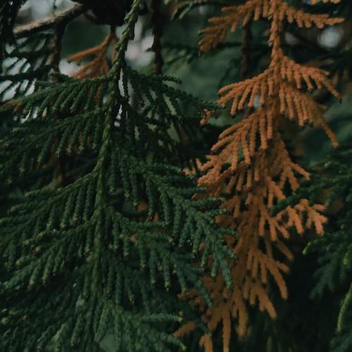 Photo #6587279