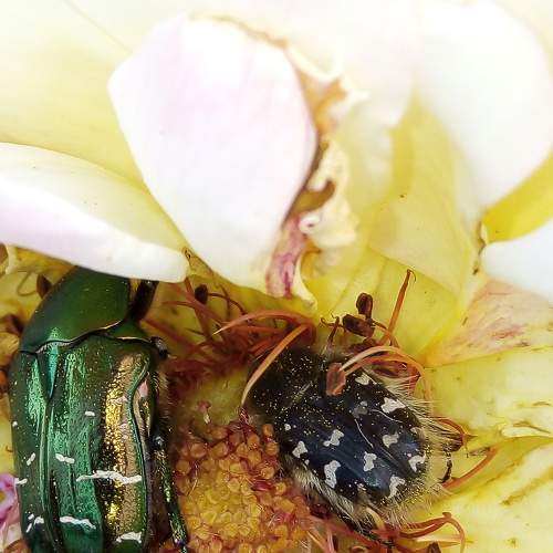 Photo #6587290