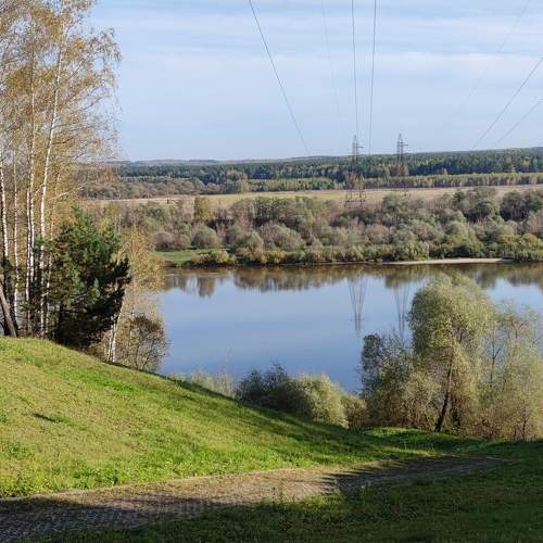 Photo #6587291