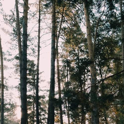 Photo #6587306