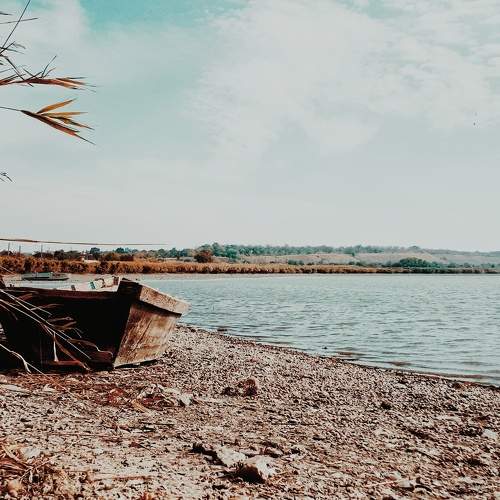 Photo #6587392
