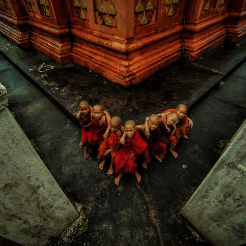 Photo #6587793