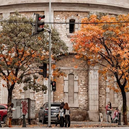 Photo #6587865