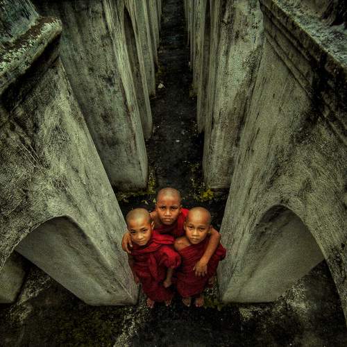 Photo #6587926