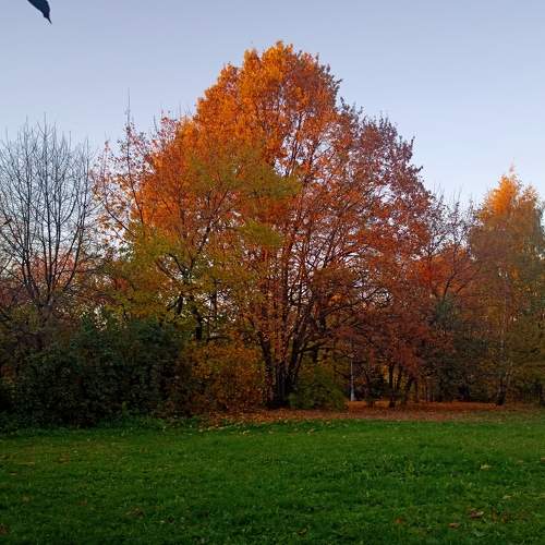 Photo #6588141