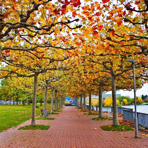 Photo #6588260