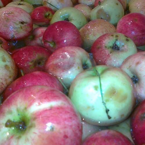 Photo #6588354