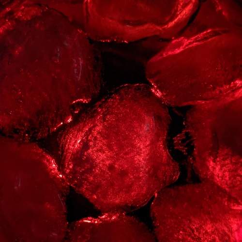 Photo #6588503