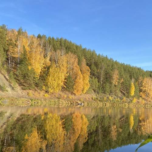 Photo #6588715