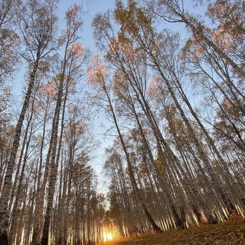 Photo #6588739