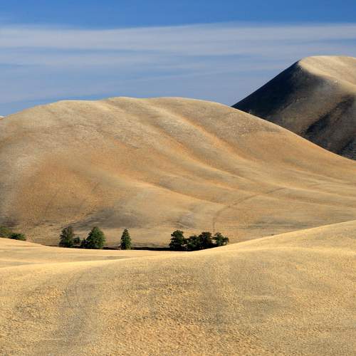 Photo #6588813