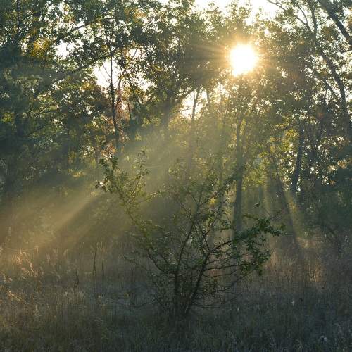 Photo #6588952